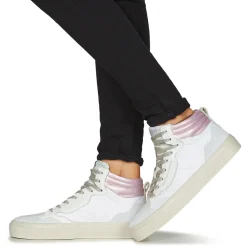 Sale Semerdjian - TREVO