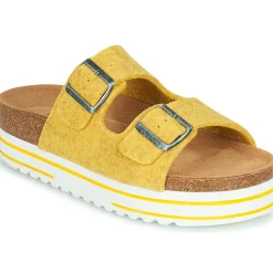 Sale Shepherd - KATTIS Jaune