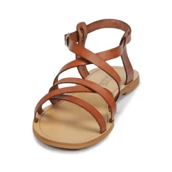 Discount So Size - IDITRON Marron