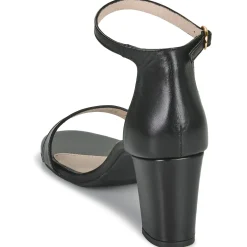 Best So Size - OLANA Noir