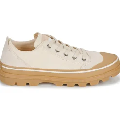 Discount Sorel - SCOUT N ABOUT LOW SNEAKER Beige