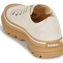 Discount Sorel - SCOUT N ABOUT LOW SNEAKER Beige