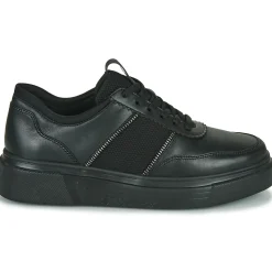 Hot Stonefly - ALLEGRA 8 Noir