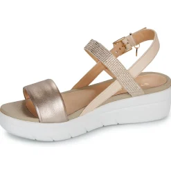 Discount Stonefly - AQUA III 22 Doré