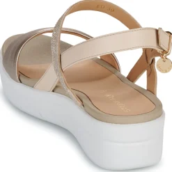 Discount Stonefly - AQUA III 22 Doré