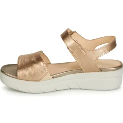 Best Stonefly - AQUA III 2 LAMINATED Doré