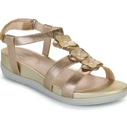 Hot Stonefly - EVE 21 Doré