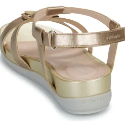 Hot Stonefly - EVE 21 Doré