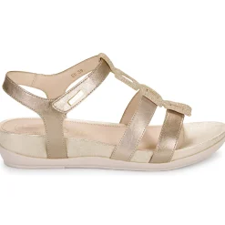 Sale Stonefly - EVE 24 LAMINATED LTH Doré