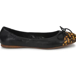 Hot Stéphane Kelian - WALLY