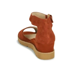 Clearance Sweet - ETUVESS