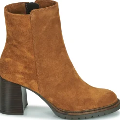 Hot Sweet Lemon - DOLY Camel