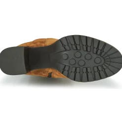 Hot Sweet Lemon - DOLY Camel