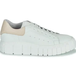 Clearance Sweet Lemon - PLANTO