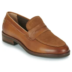 New TBS - FEDIANA Marron