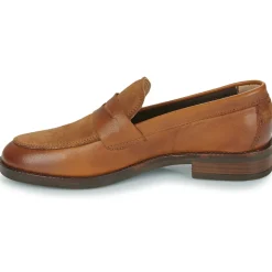 New TBS - FEDIANA Marron