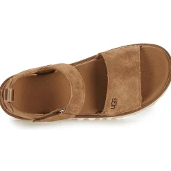 Sale UGG - GOLDENSTAR Camel