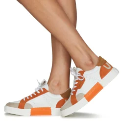 Online Un Matin d'Eté - BRIE Orange