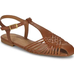 Online Unisa - BABIC Camel