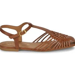 Online Unisa - BABIC Camel