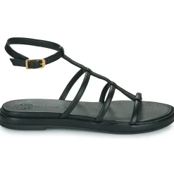 Best Unisa - CLISA Noir