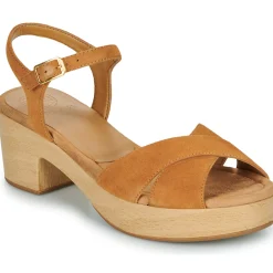 Clearance Unisa - IRAM Camel