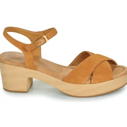 Clearance Unisa - IRAM Camel