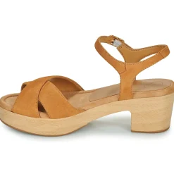 Clearance Unisa - IRAM Camel