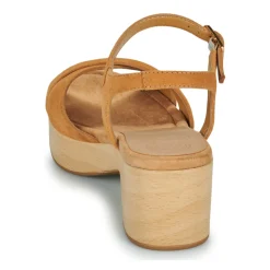 Clearance Unisa - IRAM Camel