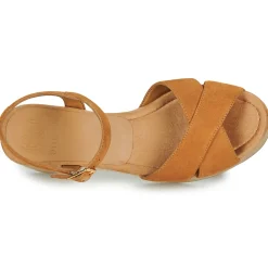 Clearance Unisa - IRAM Camel