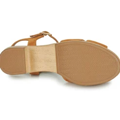 Clearance Unisa - IRAM Camel