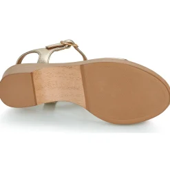 Best Unisa - IRITA Doré