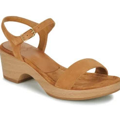 Online Unisa - IRITA Camel