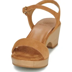 Online Unisa - IRITA Camel