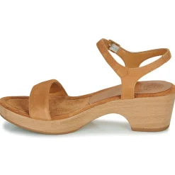 Online Unisa - IRITA Camel