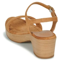 Online Unisa - IRITA Camel