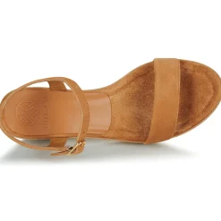 Online Unisa - IRITA Camel