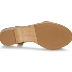 Online Unisa - IRITA Camel