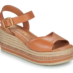 Online Unisa - KALTON Camel