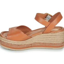 Online Unisa - KALTON Camel