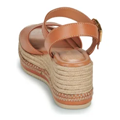 Online Unisa - KALTON Camel