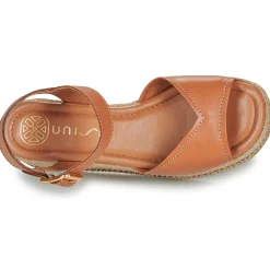 Online Unisa - KALTON Camel