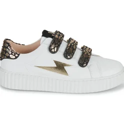 New Vanessa Wu - DAISY