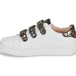 New Vanessa Wu - DAISY