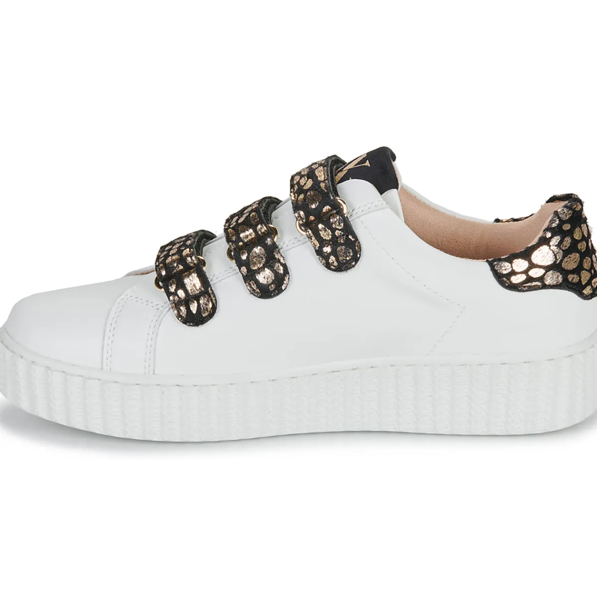 New Vanessa Wu - DAISY