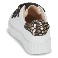 New Vanessa Wu - DAISY