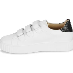 Hot Vanessa Wu - ELSA