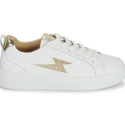 New Vanessa Wu - TANIA