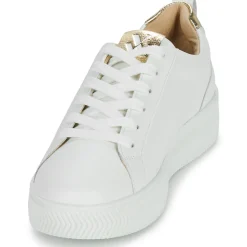 New Vanessa Wu - TANIA