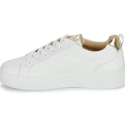 New Vanessa Wu - TANIA